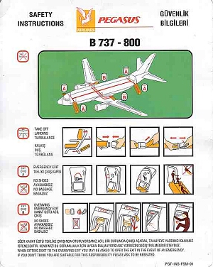 pegasus airlines b737-800 3.jpg